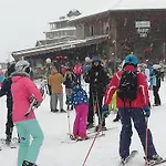 Dinos 2 Bed Cozy At Close To The Lift דירה בנסקו